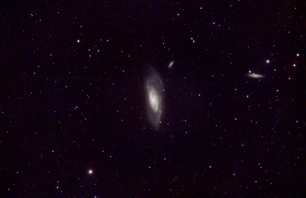 M106 mit Beifang :-)