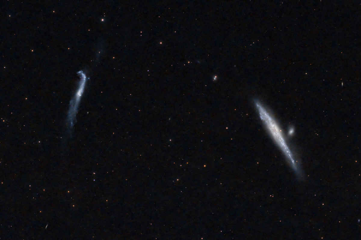 NGC4631 Whale Galaxy und NGC4656 Hockeystick Galaxy