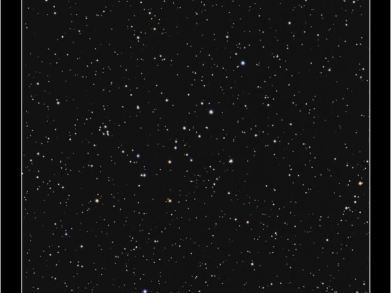 NGC2331