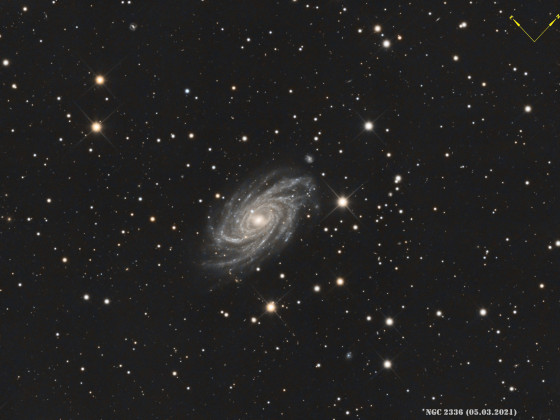NGC 2336, eine Galaxie im Sternbild Giraffe