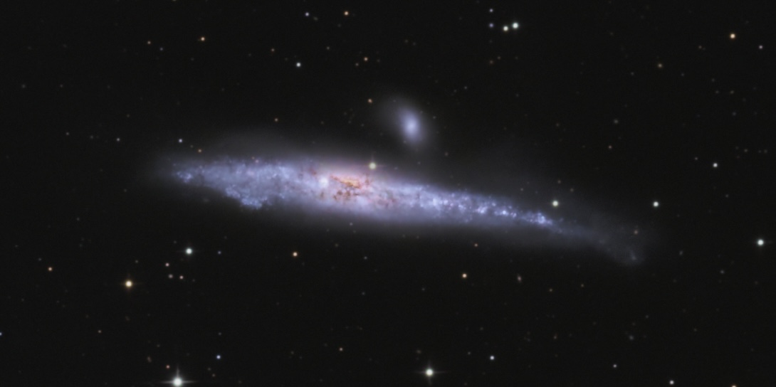 Walgalaxie NGC4631