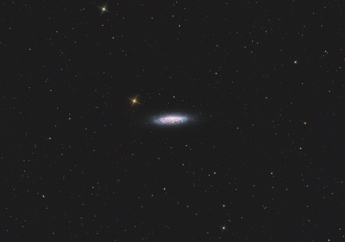 NGC 6503 - Lost in Space Galaxy