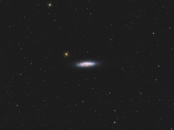 NGC 6503 - Lost in Space Galaxy