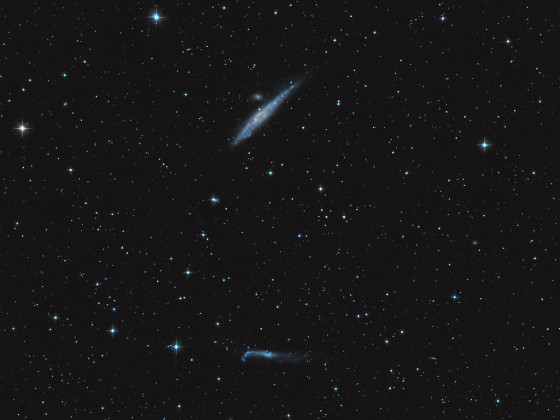 Walgalaxie NGC 4631 mit NGC 4656