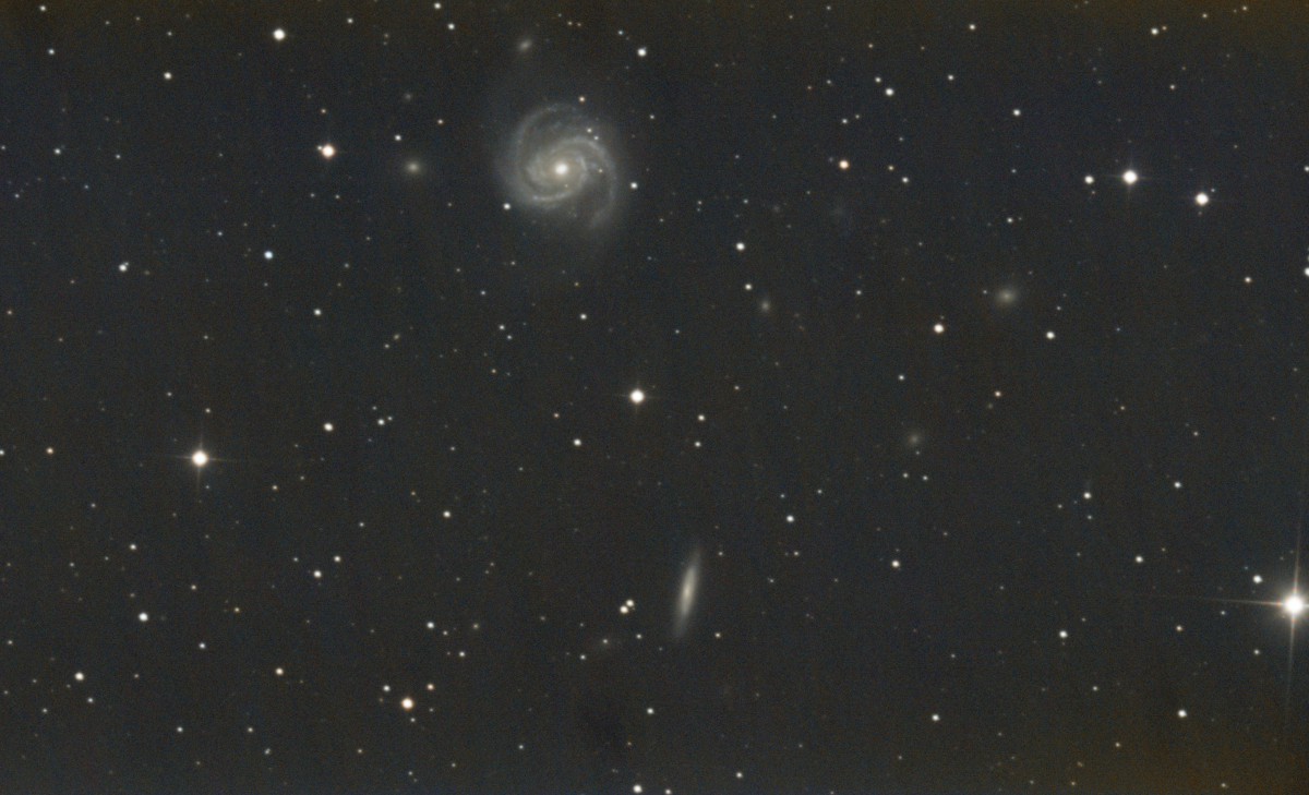 NGC 4321 (Messier 100)