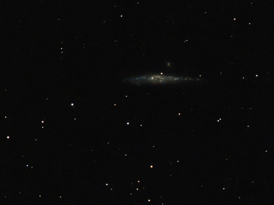 NGC4631 mit Seestar am 01052024
