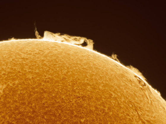 Eine Protuberanzenwand im Nordwesten der Sonne vom 2. Mai 2024