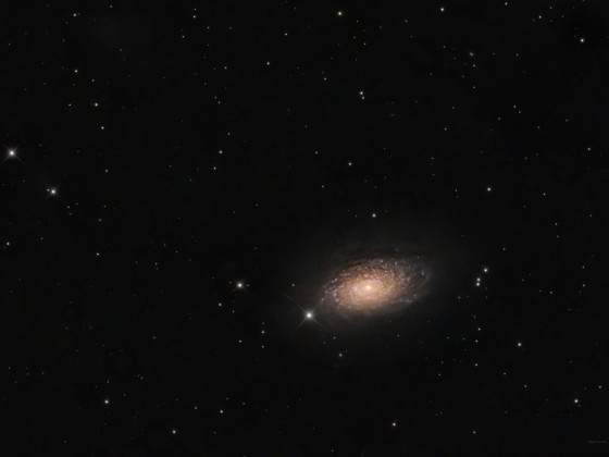 Kosmische Blütenpracht: M63, die Sonnenblumengalaxie