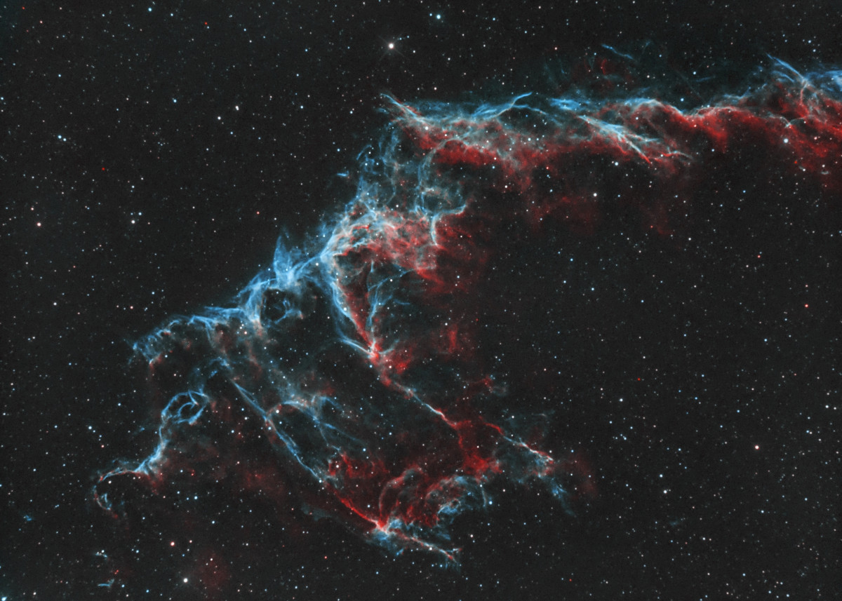 NGC6995 die Knochenhand ( südlicher Teil)