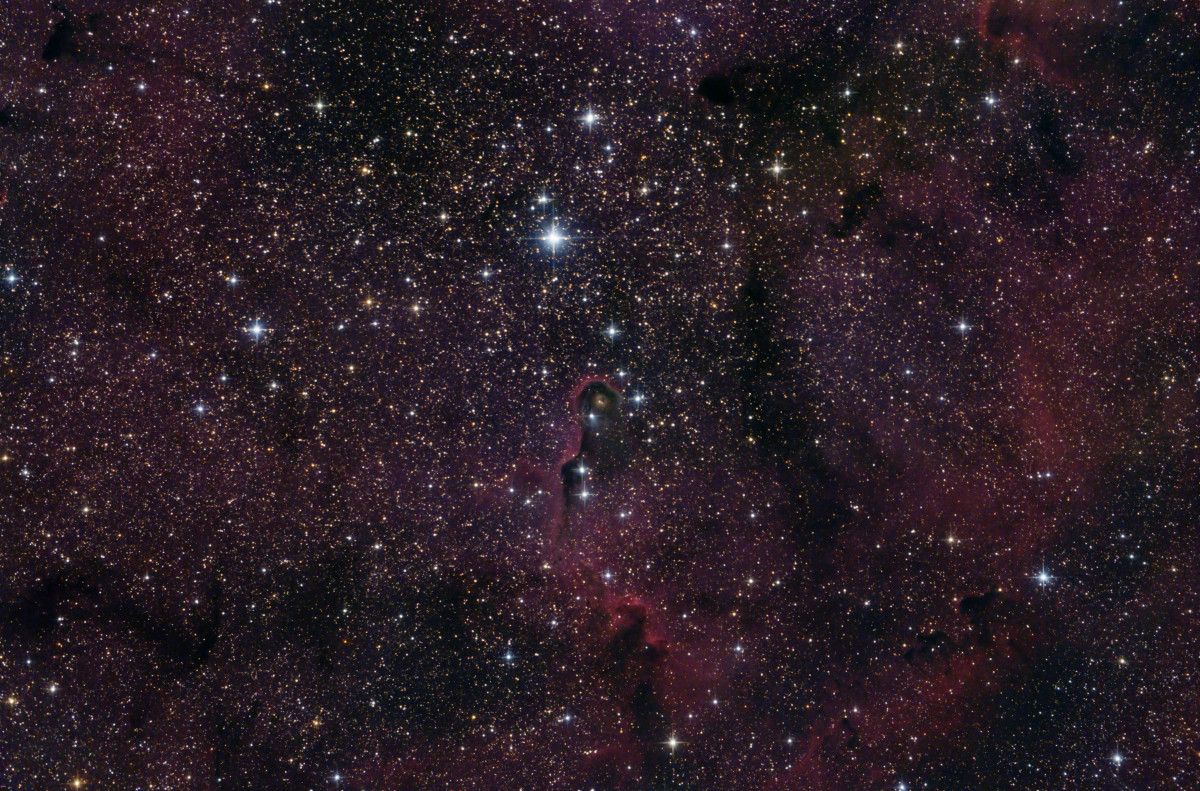 IC 1396 - "Elefantenrüsselnebel"