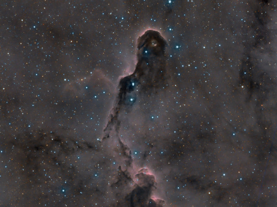 IC1396  der Elefantenrüssel (HaRGB)