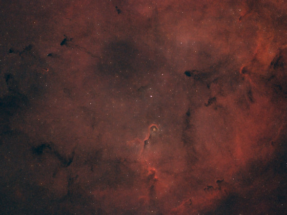 IC1396 "Der Elefantenrüsselnebel"