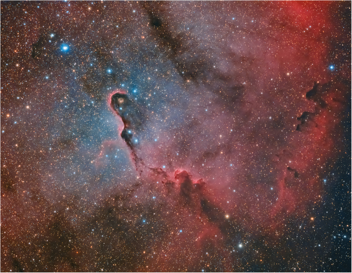 IC1396 Elefant trunc