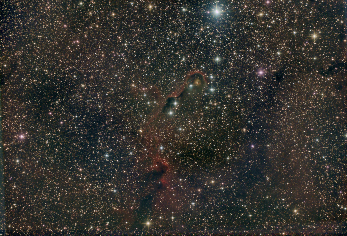 IC1396 mit IC1396A (Elefantenrüsselnebel)