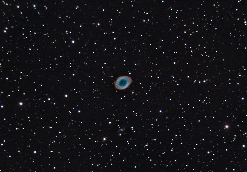 M57 inkl. IC1296 mit dem C11