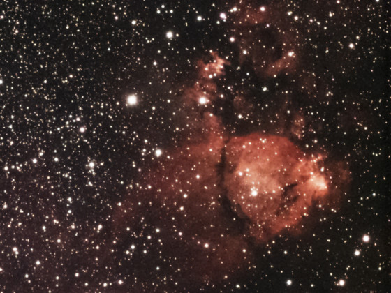 IC1795 Fischkopf-Nebel