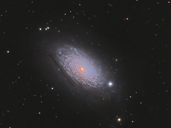 Galaxie M 63 am 20.04.2020