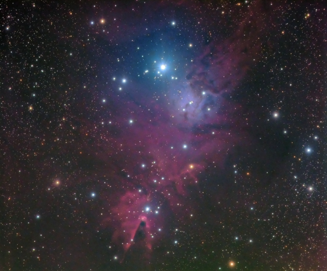 NGC 2264 und LDN 1607 (Christmas Tree Cluster and Cone Nebula)