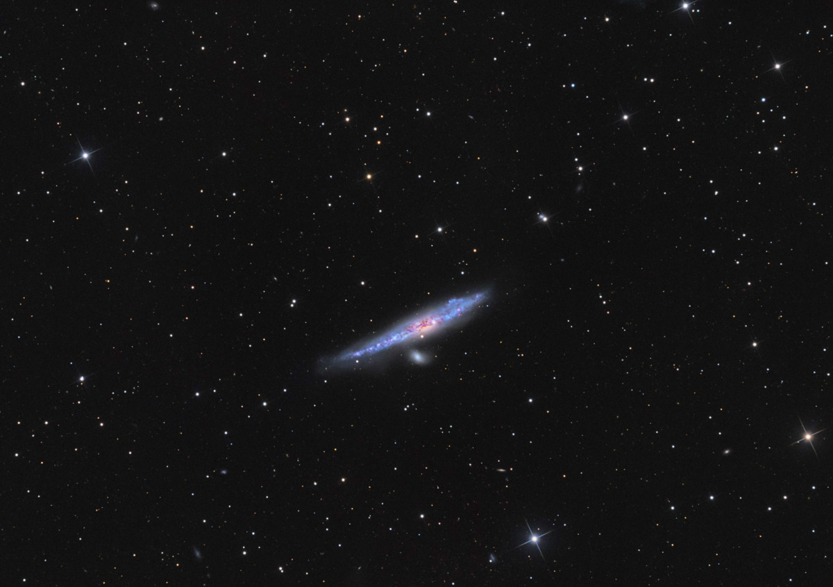NGC 4631 Blauwal