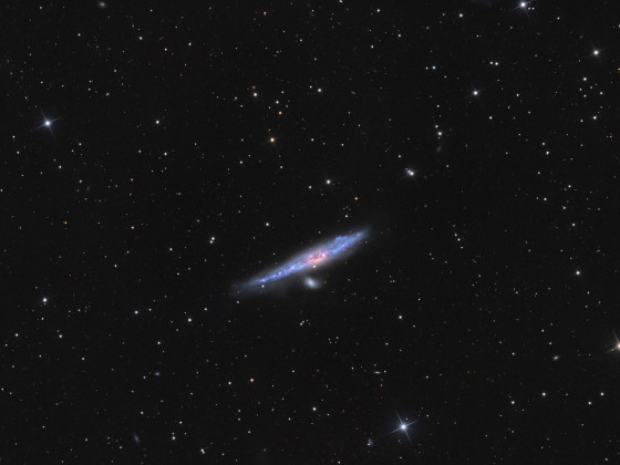 NGC 4631 Blauwal