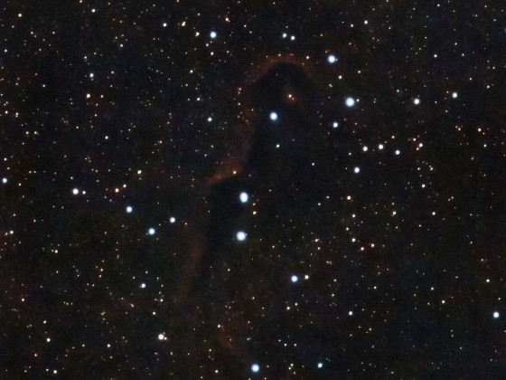 IC1396a Elefantenrüssel-Nebel mit der Vaonis Stellina