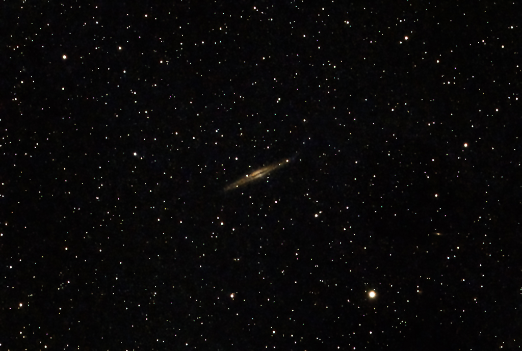NGC 891 Galaxie