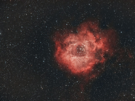 NGC2237 Rosettennebel