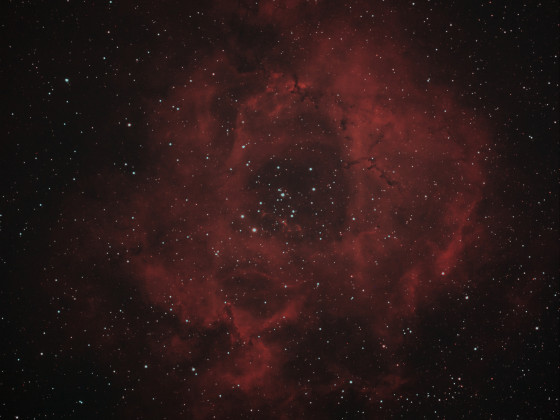 NGC 2237 Rosettennebel
