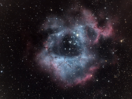 Rosettennebel (NGC 2244) mit Stock-Kamera