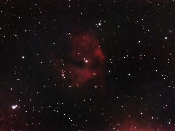 IC 2177 - der Kopf der Möve - mit der Vaonis Stellina