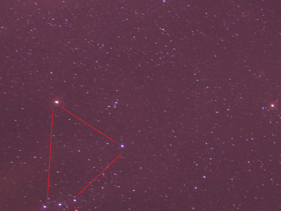 Sternbild  Orion