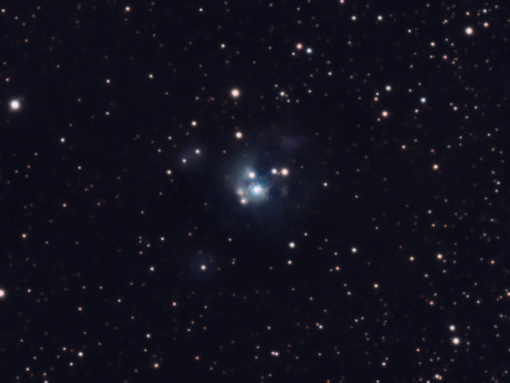 NGC 7129 Cosmic Rose