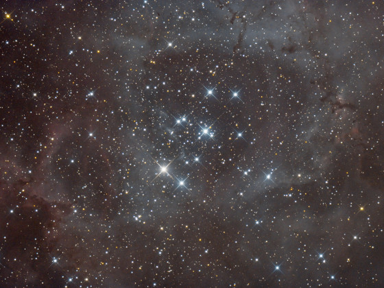 Rosettennebel NGC 2237 - der erste Versuch