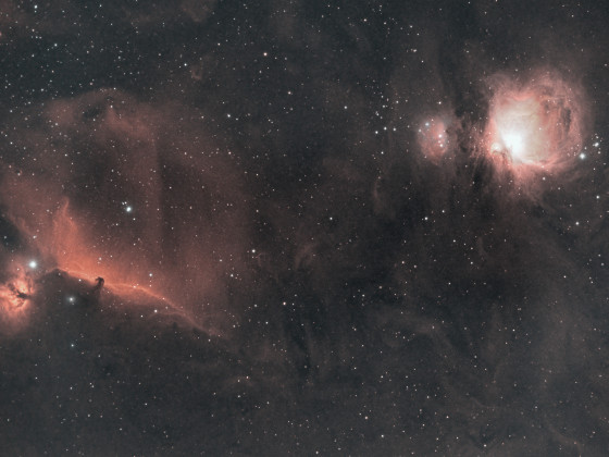 Nebel im Orion Bicolor