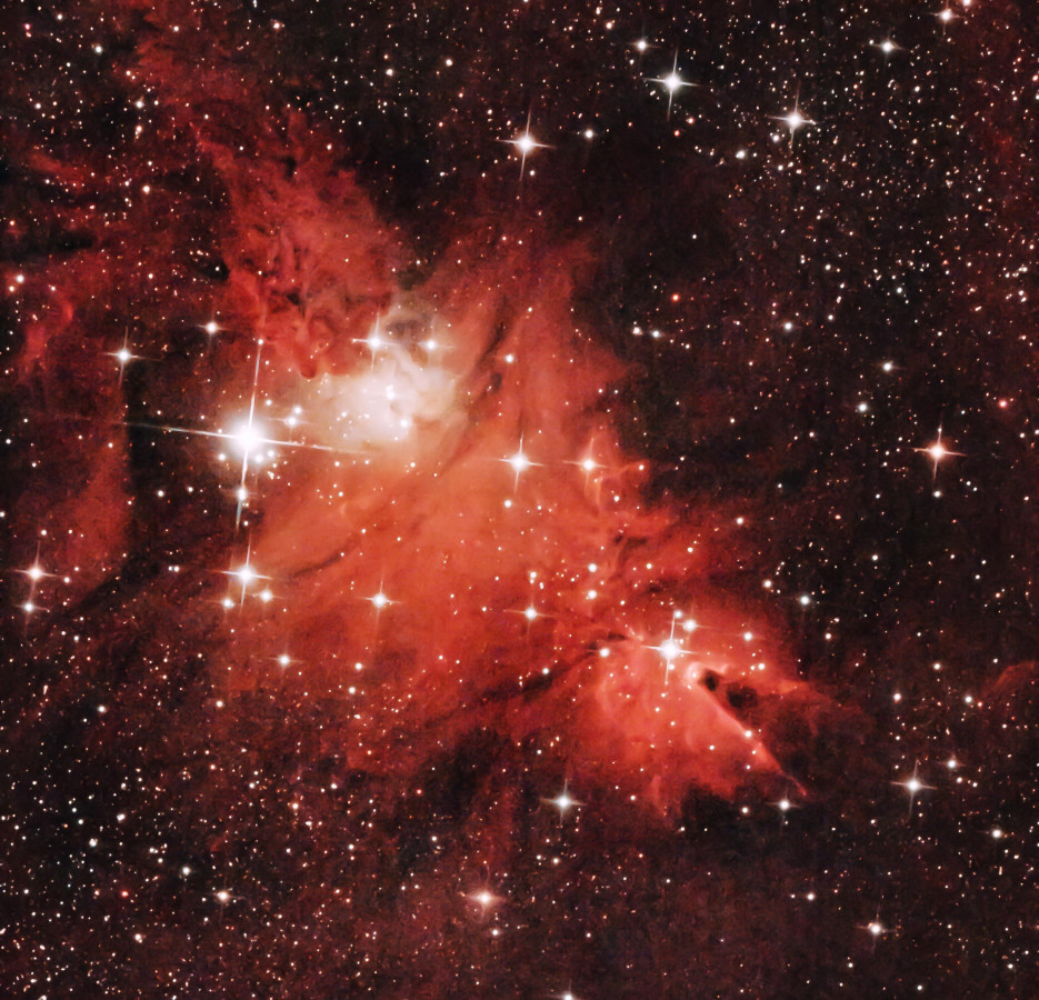 Konusnebel NGC 2264 mit Weihnachtsbaumnebel
