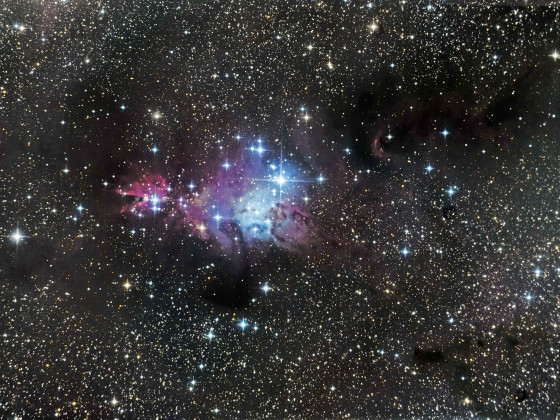 Weihnachtsbaum-Sternhaufen NGC 2264 mit NGC 2261 (Hubble's Variable Nebula)