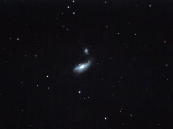 NGC4490 und NGC4485 mit der Vaonis Stellina