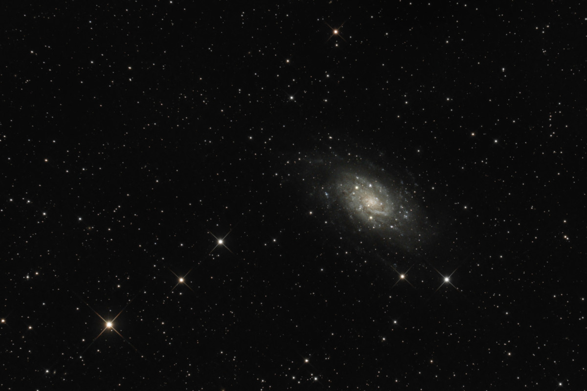 NGC2403 in der Giraffe