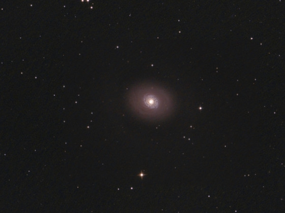 M94 bei ca. mag 4,2 Himmel; der Kern wurde extrem geschärft, 1,1"/Pixel, 800mm f/4 Canon 600da; ist vielleicht was für Kurzbelichter?