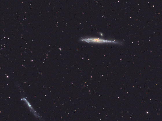 Walgalaxie NGC4631+Nachbarn