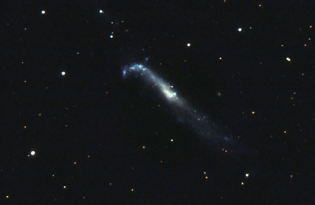 NGC4656 Hockey-Stick Galaxie mit dem C11