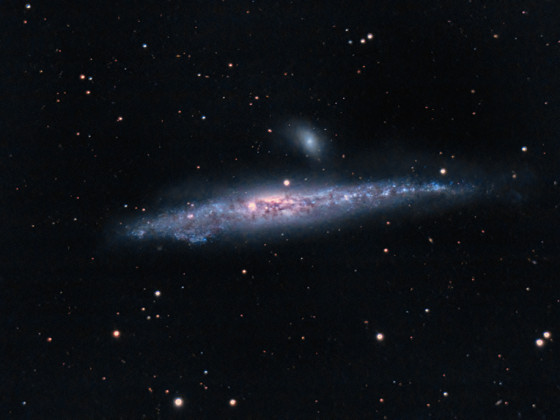 NGC4631 Whale Galaxy mit dem C11
