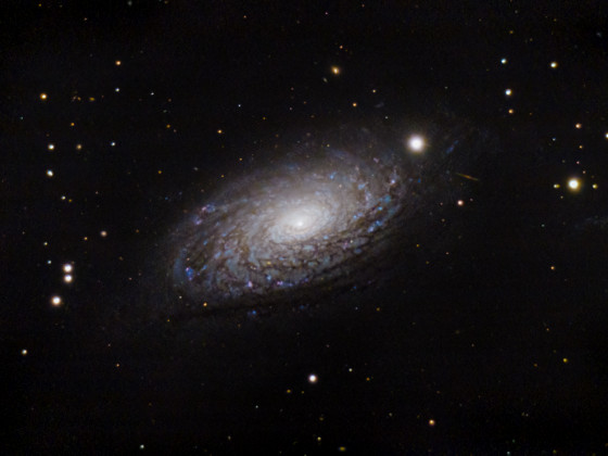 M63 Sunflower-Galaxie mit dem C11
