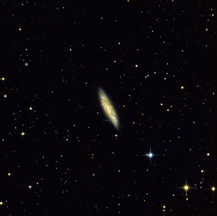 M108 Surfboard-Galaxie (NGC3556)
