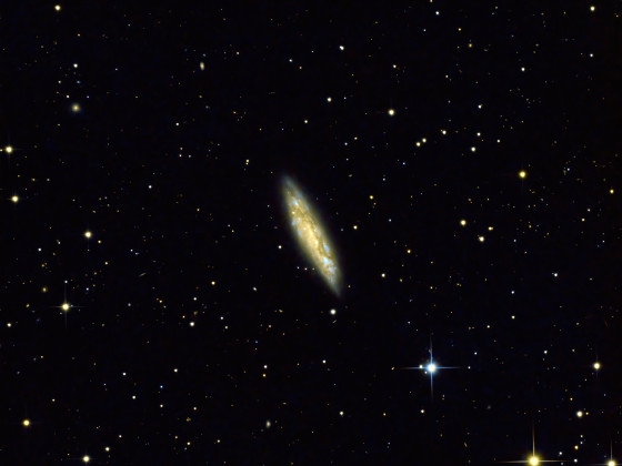 M108 Surfboard-Galaxie (NGC3556)