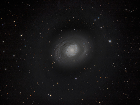 M94 Croc's Eye Galaxie mit dem C11