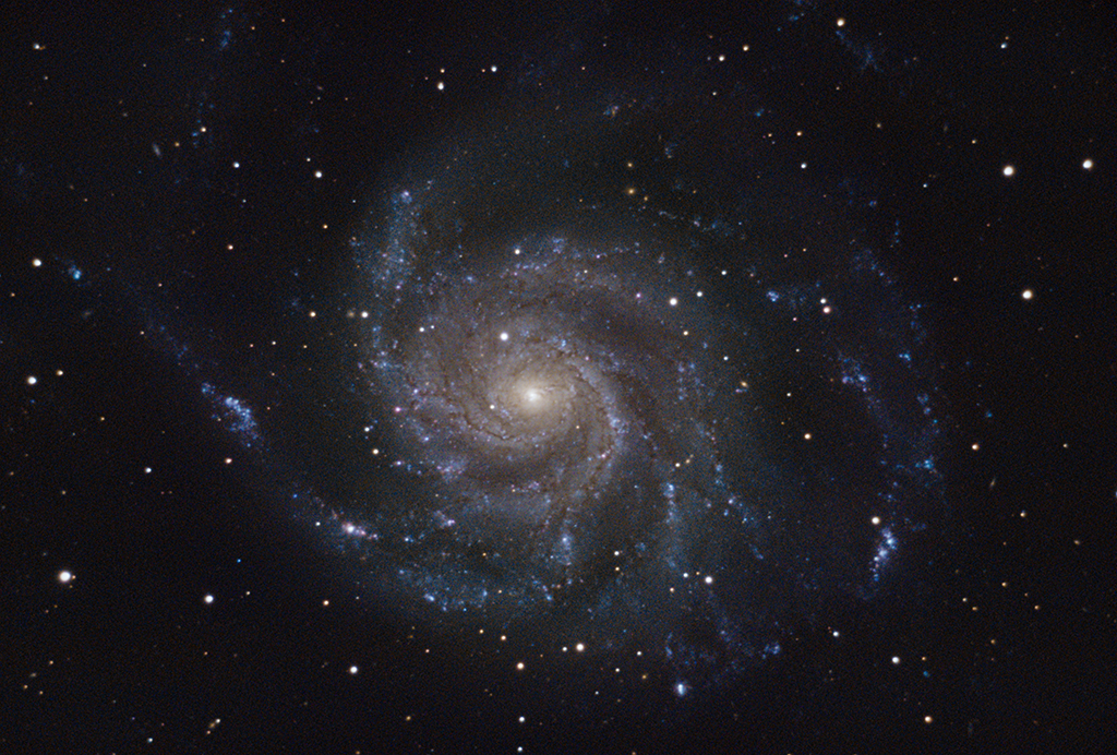 M101 mit dem C11