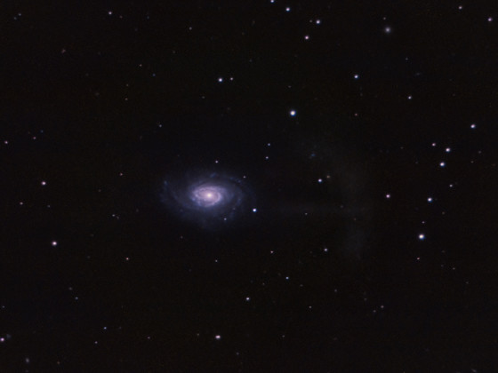 NGC4651 Umbrella-Galaxie mit dem C11