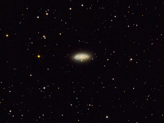 NGC2976 in der M81 Galaxiengruppe