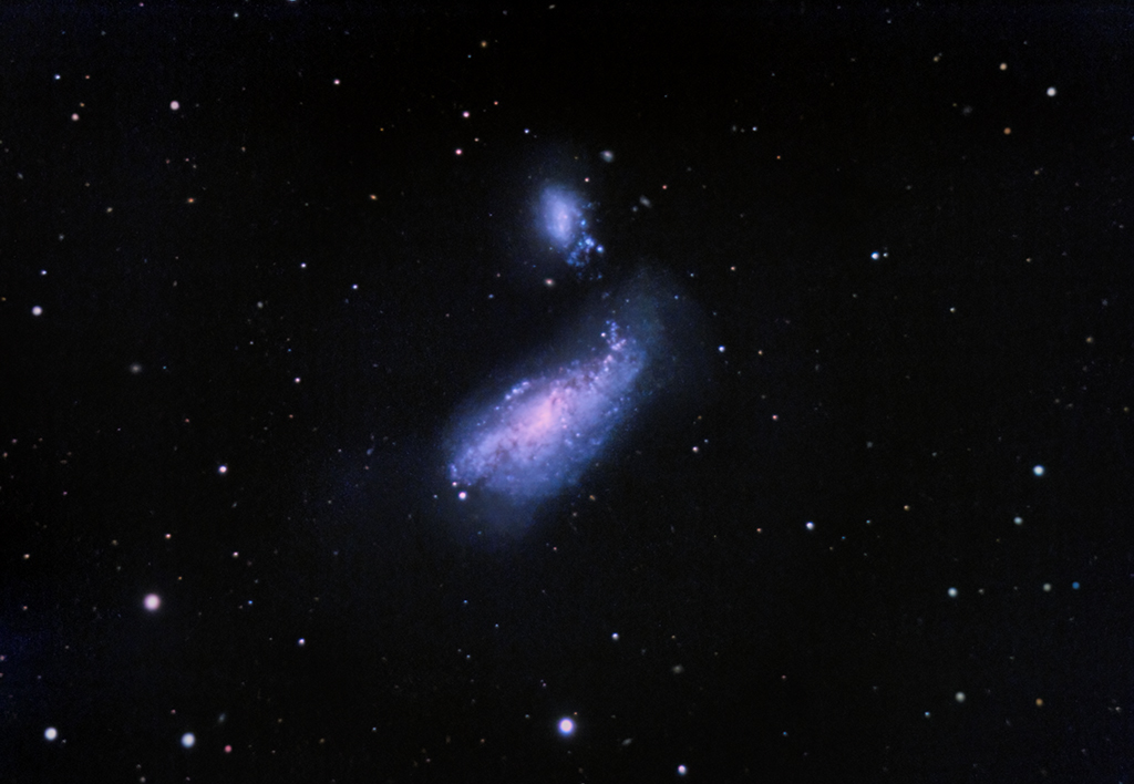 NGC4490 und NGC4485 mit dem C11